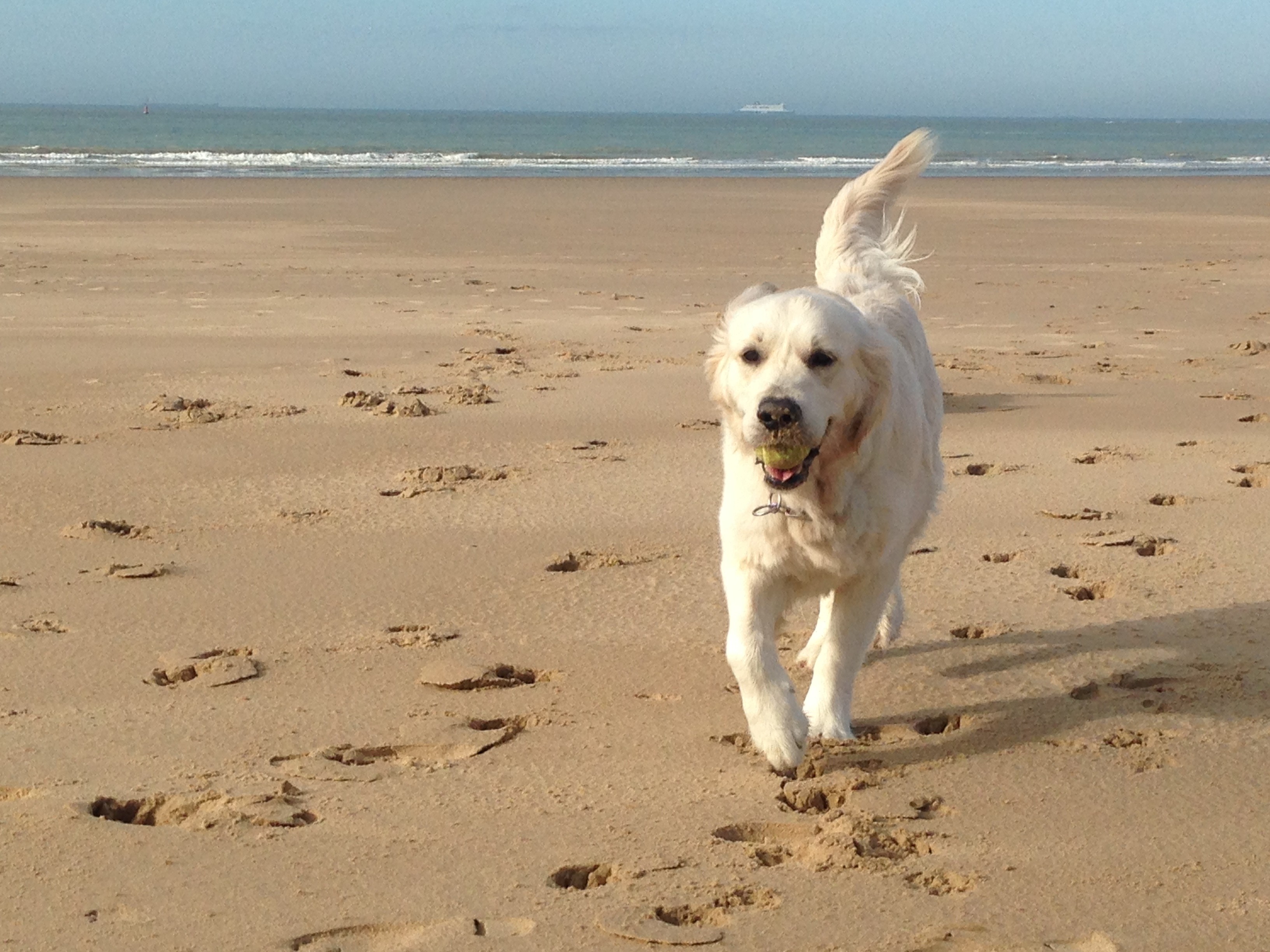 Léo Des Dunes De La Slack