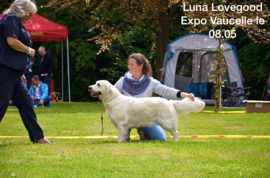 Luna lovegood Des Dunes De La Slack