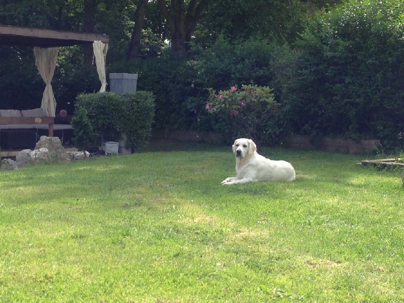 Luna lovegood Des Dunes De La Slack