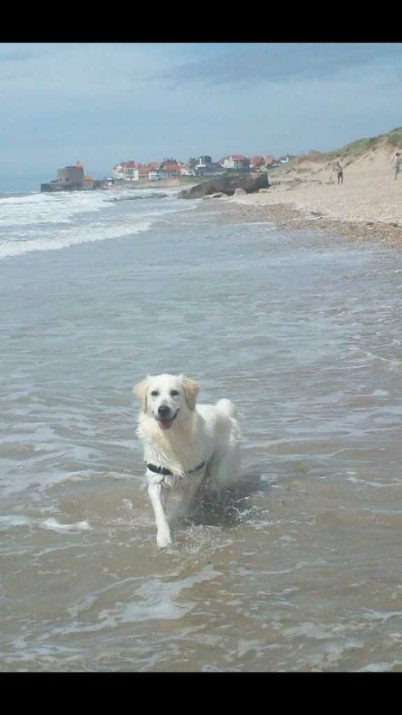 Lexa Des Dunes De La Slack