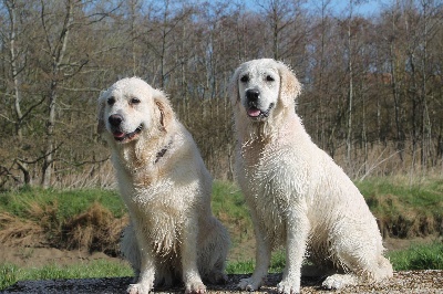 Des Dunes De La Slack